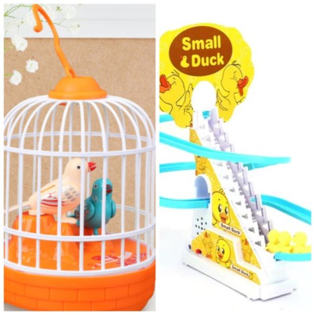 2 in 1 Talking Bird & Sliding Duck Combo (duck 3)